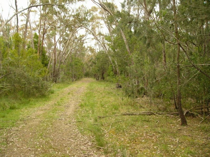 55 Noels Lane, Gherang VIC 3240