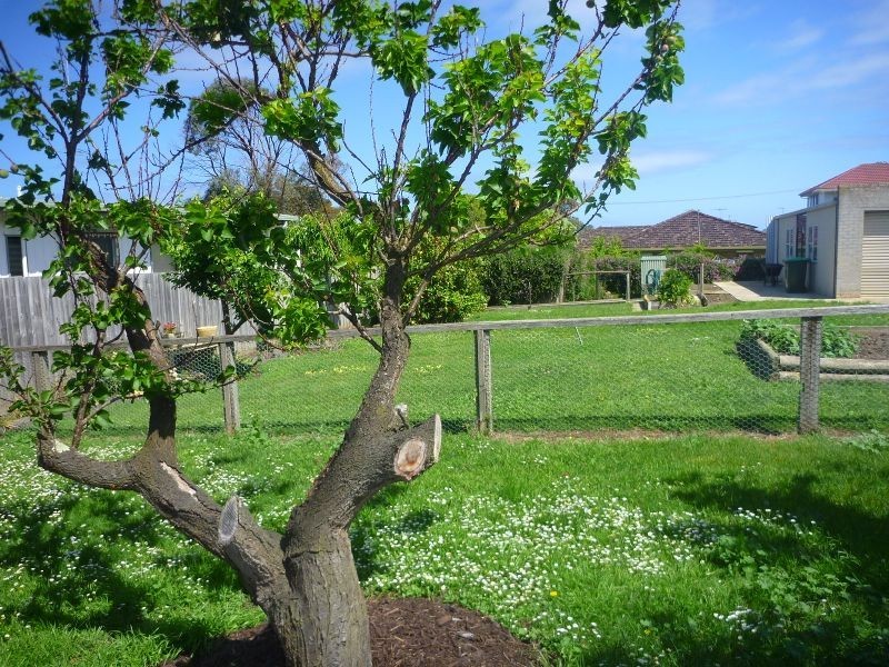 5 Gogoll Crescent, Torquay VIC 3228