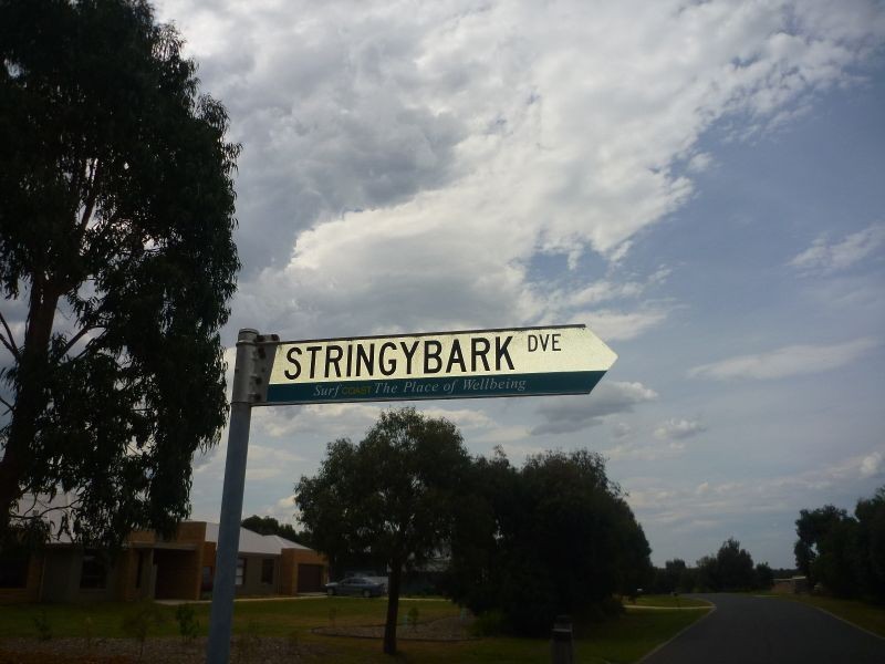 19 Stringybark Drive, Torquay VIC 3228