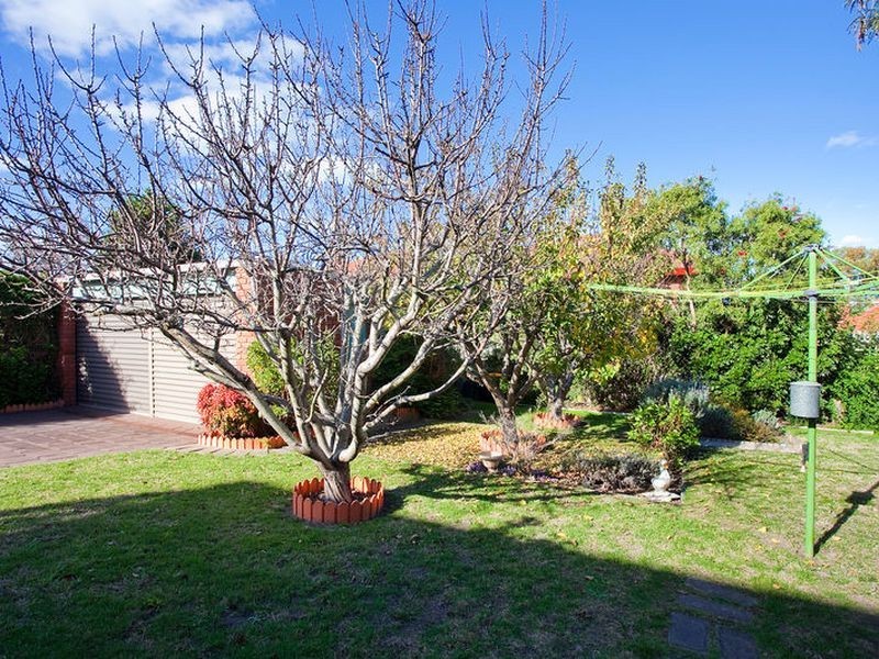 86 Fischer Street, Torquay VIC 3228