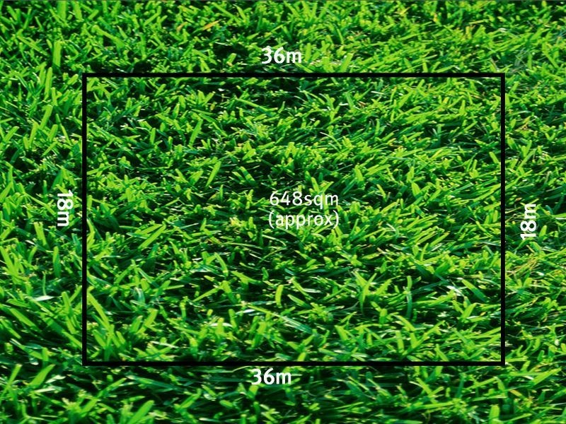 56 Briody Drive, Torquay VIC 3228