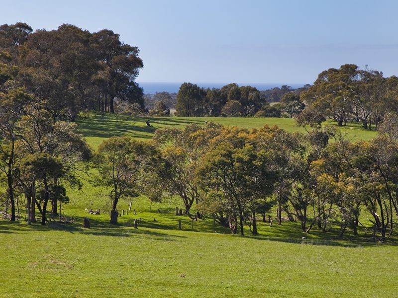 615 Great Ocean Road, Bellbrae VIC 3228