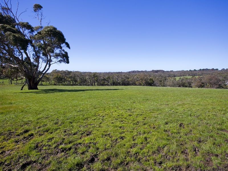 615 Great Ocean Road, Bellbrae VIC 3228