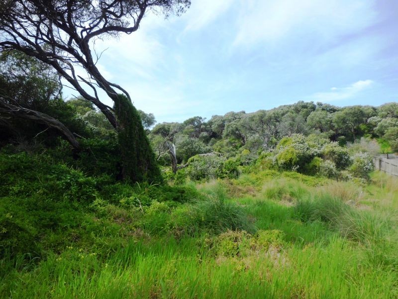 1 Horwood Drive, Torquay VIC 3228