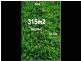 4 Sahara Way, Truganina VIC 3029