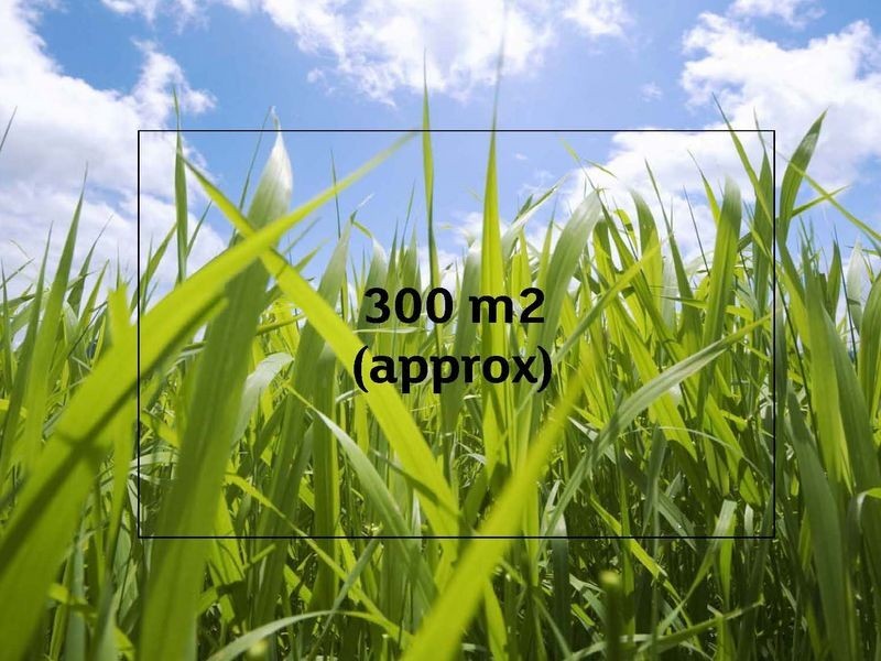 4 Ceratta Crescent, Tarneit VIC 3029