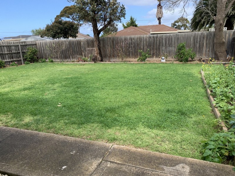 17 Pannam Drive, Hoppers Crossing VIC 3029