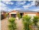 27 Condamine Avenue, Wyndham Vale VIC 3024