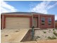 16 Galeff Street, Truganina VIC 3029