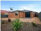 37 Kalorama Street, Tarneit VIC 3029