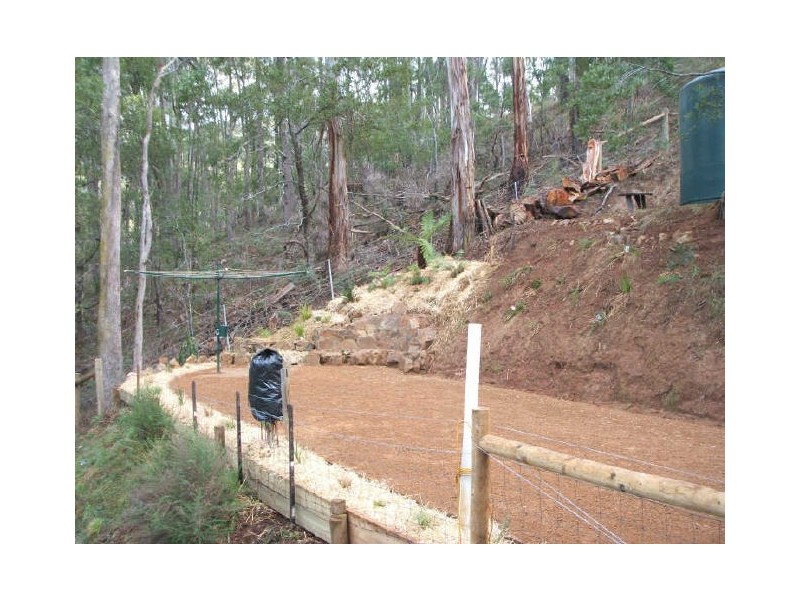 77 Forest Road, Flowerdale VIC 3717