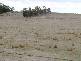 Lot 6 Toorourrong Court, Whittlesea VIC 3757