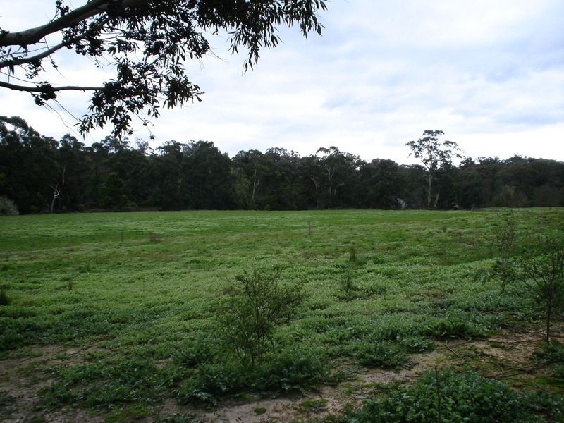 155 Mahadys Road, Upper Plenty VIC 3756