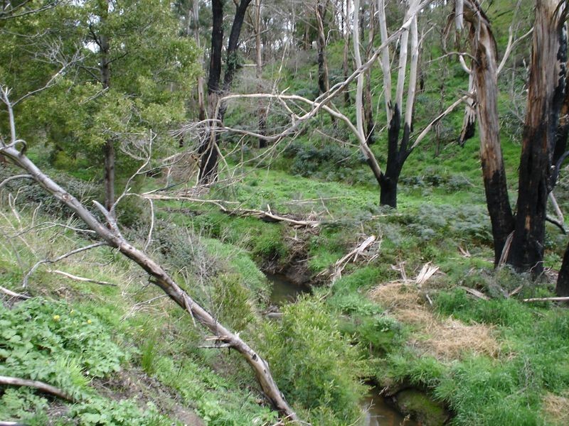 155 Mahadys Road, Upper Plenty VIC 3756