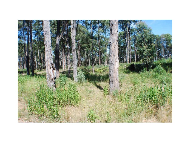 4 Macedon Court, Kinglake West VIC 3757