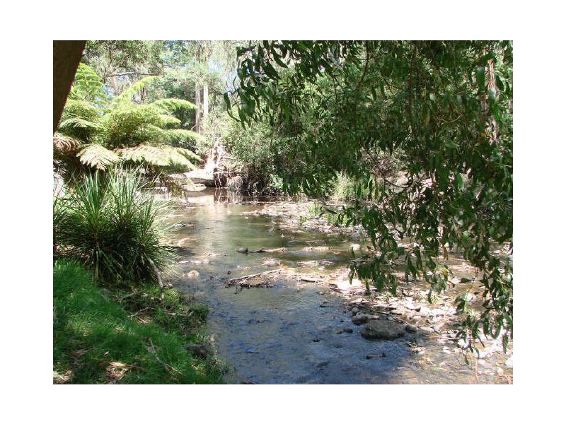 4 King Parrot Court, Flowerdale VIC 3717