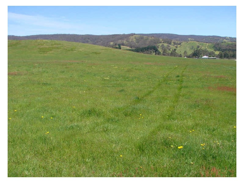 20 Collins Road,, Flowerdale VIC 3717