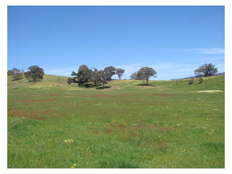 20 Collins Road,, Flowerdale VIC 3717