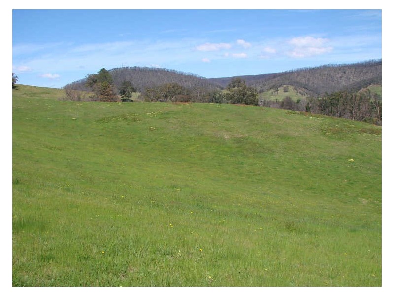 20 Collins Road,, Flowerdale VIC 3717