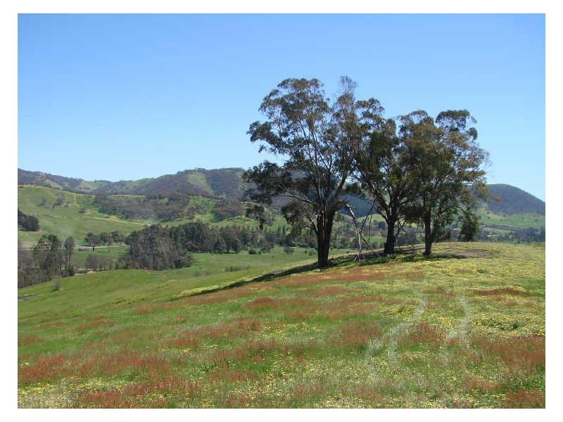 20 Collins Road,, Flowerdale VIC 3717