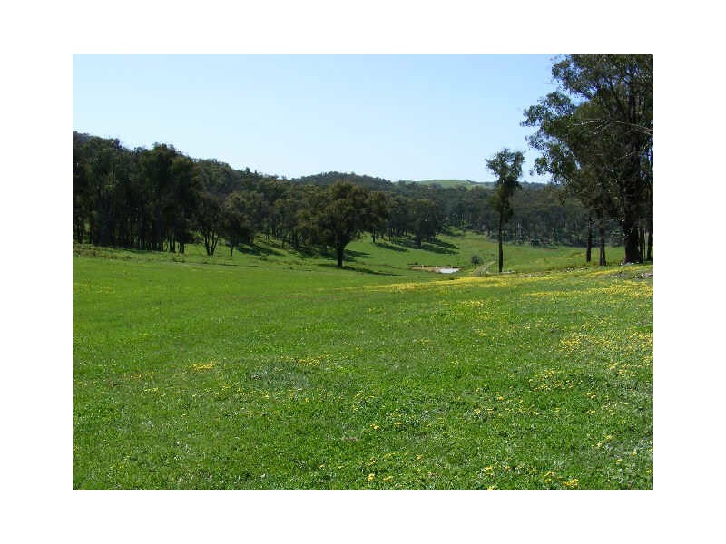 1043 Break ODay Road, Glenburn VIC 3717