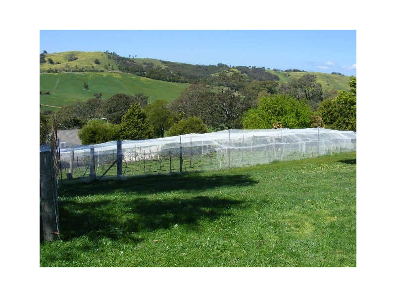 1043 Break ODay Road, Glenburn VIC 3717