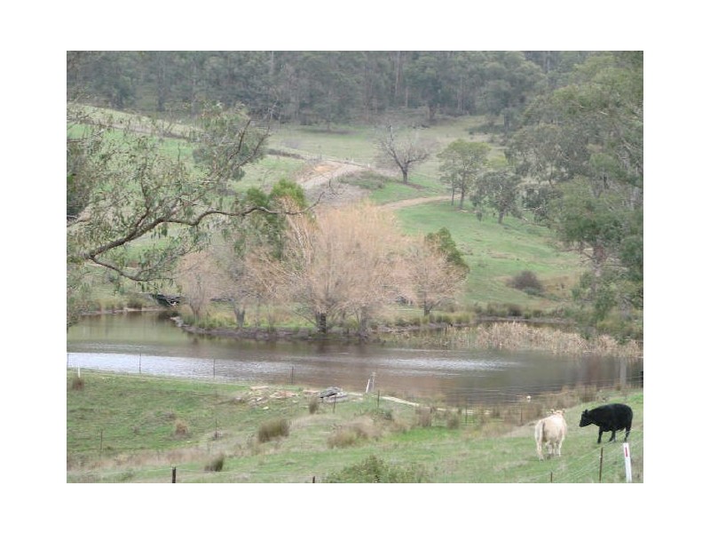 1043 Break ODay Road, Glenburn VIC 3717