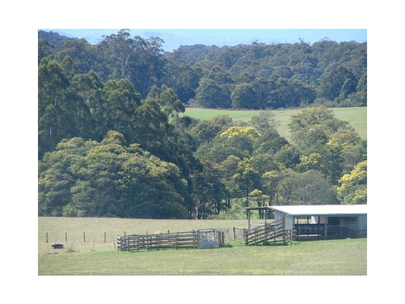 38 Deviation Road, Kinglake VIC 3763