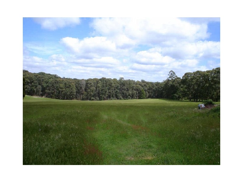 99 Pheasant Creek Road, Pheasant Creek VIC 3757