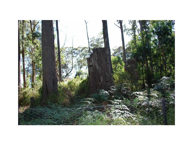 23 Shelly Harris Court, Kinglake VIC 3763