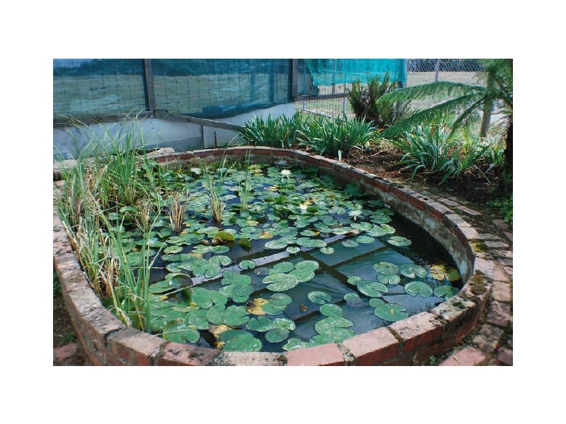 459 O’Gradys Road, Kinglake VIC 3763