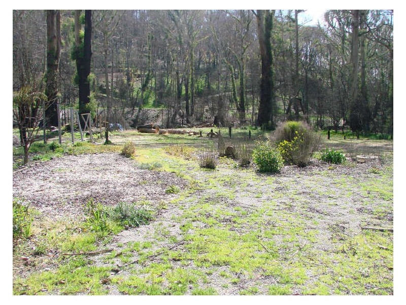 4 King Parrot Court, Flowerdale VIC 3717