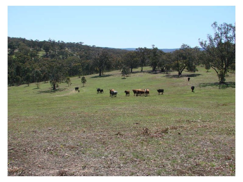 60 Cameron Rise, Beveridge VIC 3753