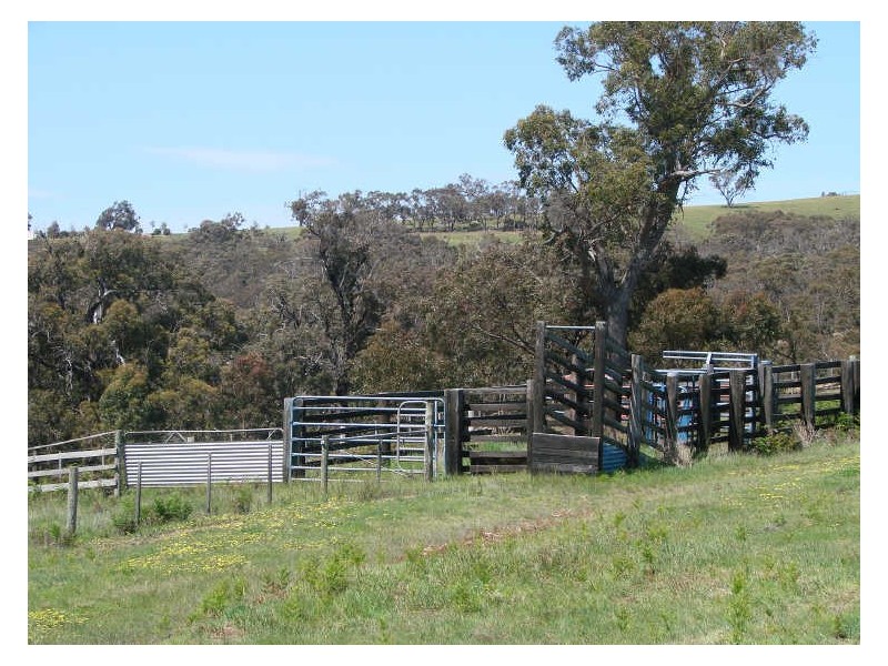 60 Cameron Rise, Beveridge VIC 3753