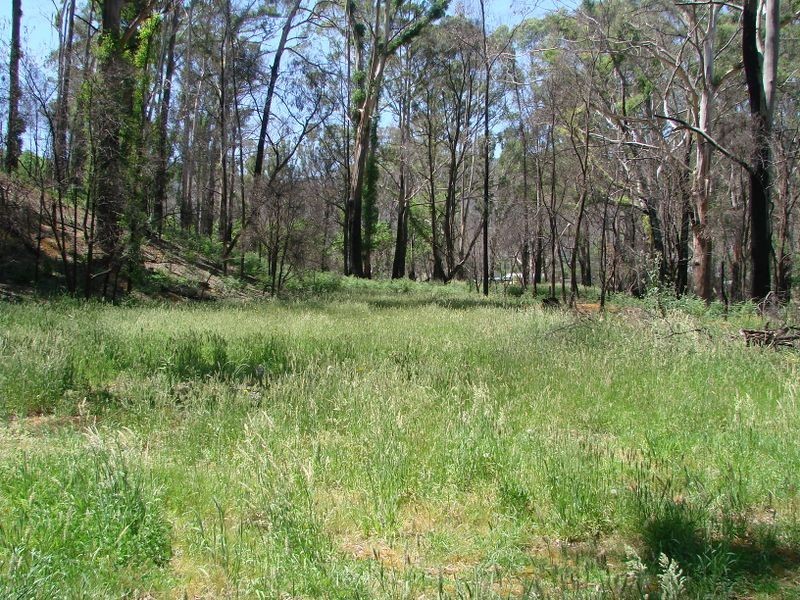 77 Forest Road, Flowerdale VIC 3717
