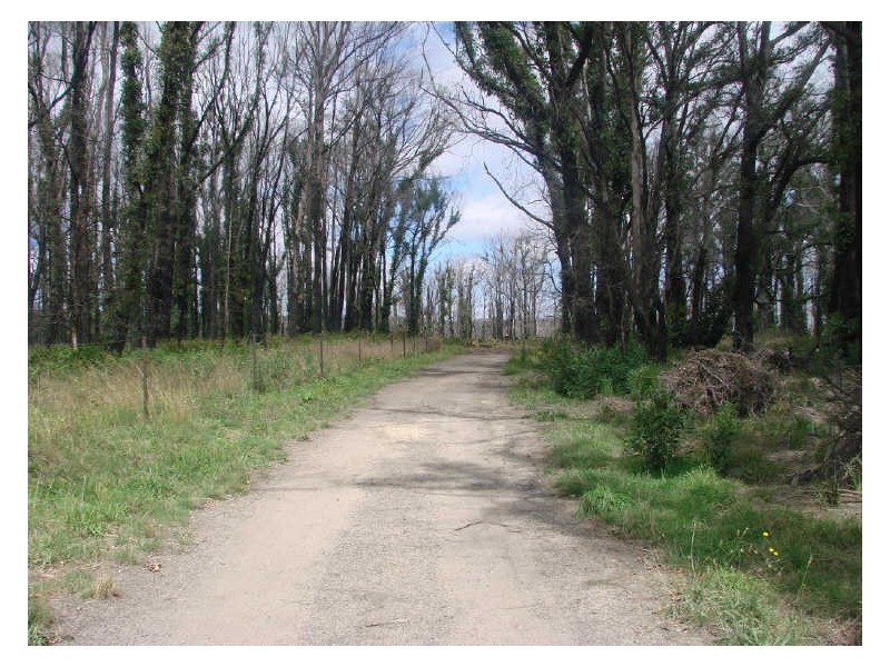 185 Coombs Road, Kinglake West VIC 3757