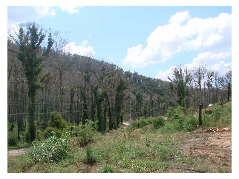 129 Silver Creek Road, Flowerdale VIC 3717