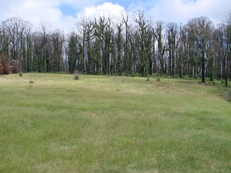 25 Rae Street, Kinglake West VIC 3757