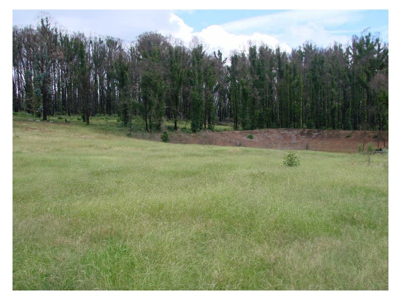 25 Rae Street, Kinglake West VIC 3757