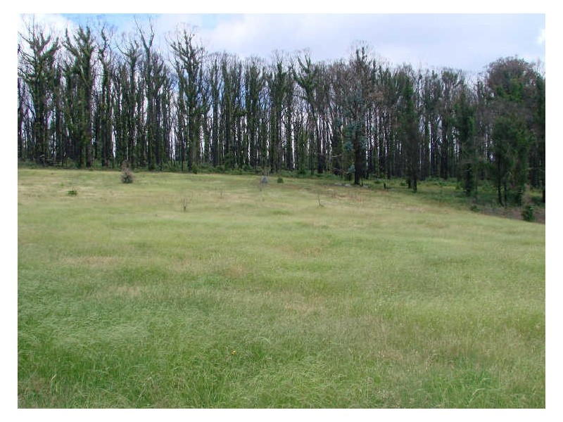 25 Rae Street, Kinglake West VIC 3757