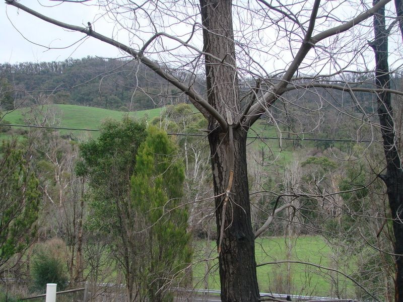 2966 Whittlesea Yea Road, Flowerdale VIC 3717