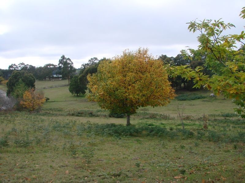 2 Koala Drive, Pheasant Creek VIC 3757