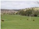 Jacks Creek Road, Whittlesea VIC 3757