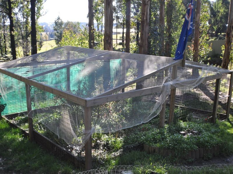 9 Bower Street, Kinglake VIC 3763