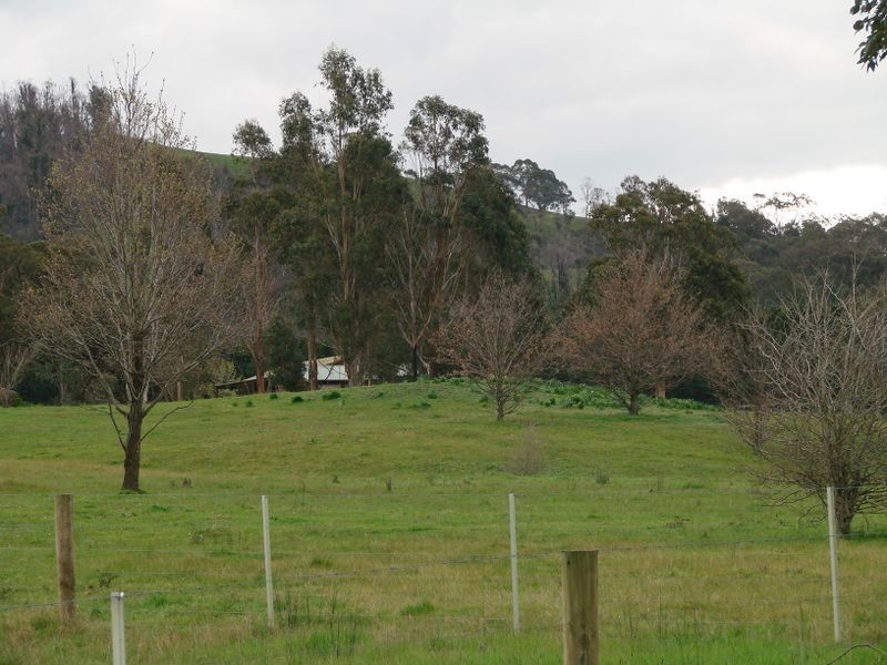 366 Moores Road, Flowerdale VIC 3717