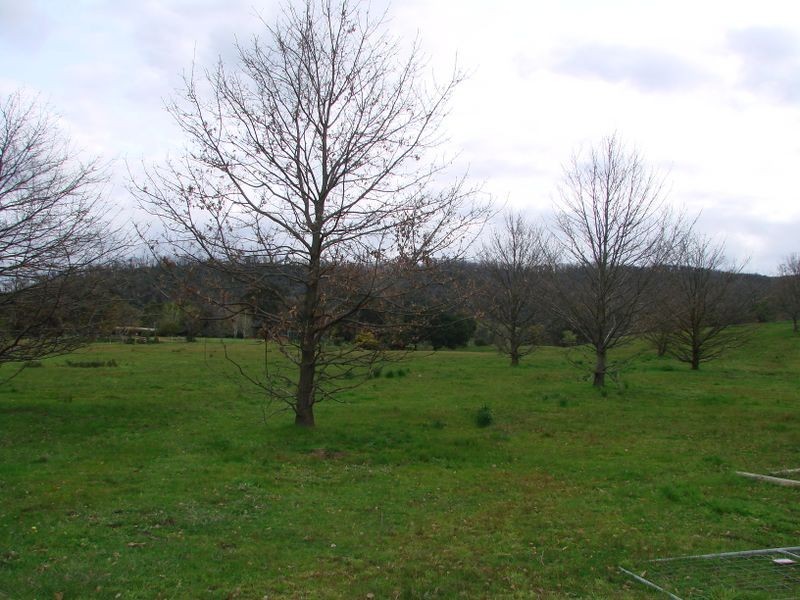 366 Moores Road, Flowerdale VIC 3717