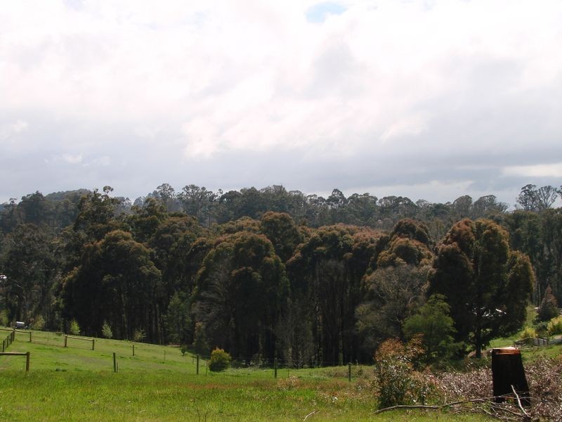 12 Koetong Street, Kinglake VIC 3763