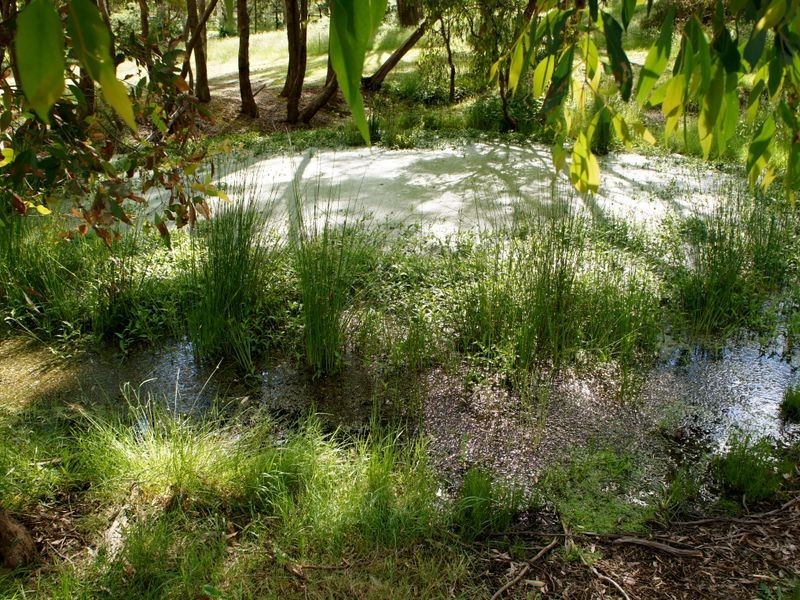 125 Bruces Creek Road, Whittlesea VIC 3757