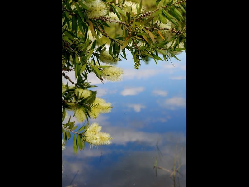 125 Bruces Creek Road, Whittlesea VIC 3757