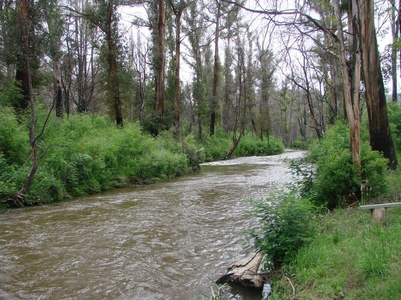 2597 Whittlesea Yea Road, Flowerdale VIC 3717